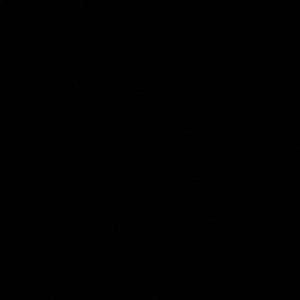 Meet your Posher, Fernanda